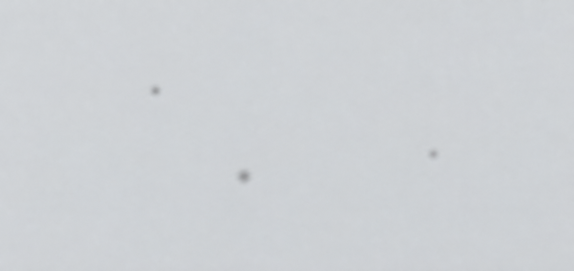 Illustrative white-field photo with three suspected dust spots, marked for review.